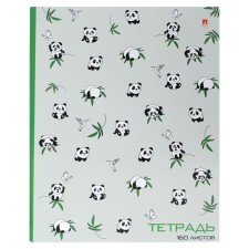 Notebook on rings, 160 sheets in the panda cage, solid cover, glossy lamination, with a change of block