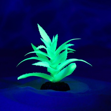 The plant is artificial aquarium, luminous, 10 cm, green-3