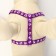The set of stitched "paws", leash 120 x 1 cm, OG 23-35 cm, purple