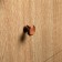 Handle button tundra Light RK034AC, color copper