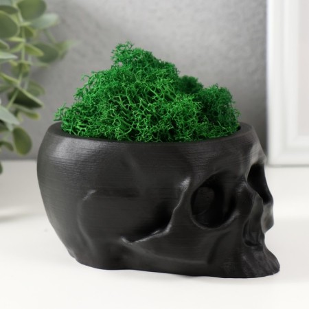 Kashpo concrete "Skull" with moss black 13x9x6.5 cm (moss green stabilized)-1
