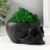 Kashpo concrete "Skull" with moss black 13x9x6.5 cm (moss green stabilized)