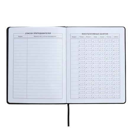 Universal Grade 1-11 Diary, 48 sheets "Girl 2", solid cover of artificial leather, lies, universal cheat sheet, block 80 g/m2-4