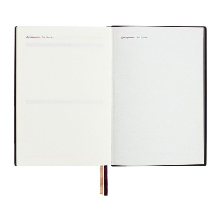 Dated 2025 diary, A5, 176 sheets of Escalada, solid cover of artificial leather, 3D design, foil, liescam embossing, cream block 70 g/m2, brown-13
