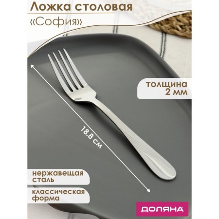 A stainless steel table for a stainless steel of Sofia, length 18.8 cm, thickness 2 mm