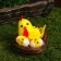 Easter souvenir "Cockerel with chickens in the nest" 7x7x7 cm
