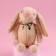 Soft toy "The most beautiful", bunny