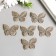 Decor for creativity Textile Embroidery "Blabo Gold" Double Wings 3.7x4.5cm