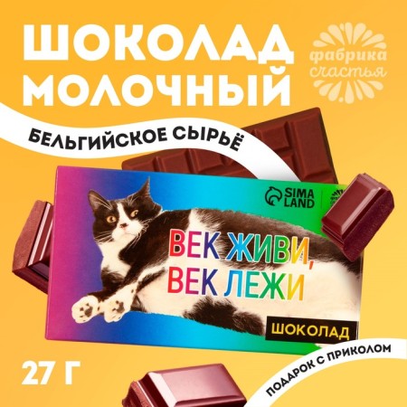 Milk chocolate “Live, lie down, 27 g.