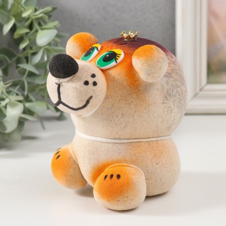 Growing gift Eco -Levik "King Leo" mix-3