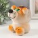 Growing gift Eco -Levik "King Leo" mix