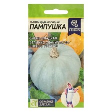 Seeds of pumpkin 