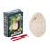 Set of archaeologist "Stegocras", a series "Peter's egg of a dinosaurus"