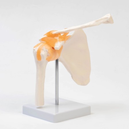 Mettle "shoulder joint" 23*15*15cm-2