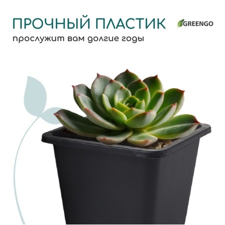 Pot for seedlings, 350 ml, d = 9 x 9 x 8.5 cm, (packaging 20 pcs.) Greengo-5