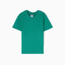 T -shirt for children, green color, height 116
