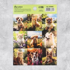 Paper stickers 