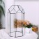 Florarium "greenhouse" (black seams)