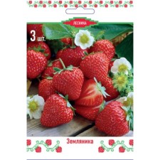 Strawberry Garden Red Gontlet, P9 Pot, Summer 2024