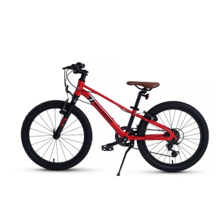 Bicycle 20 ’’ maxiscoo 7bike m200, red color-2