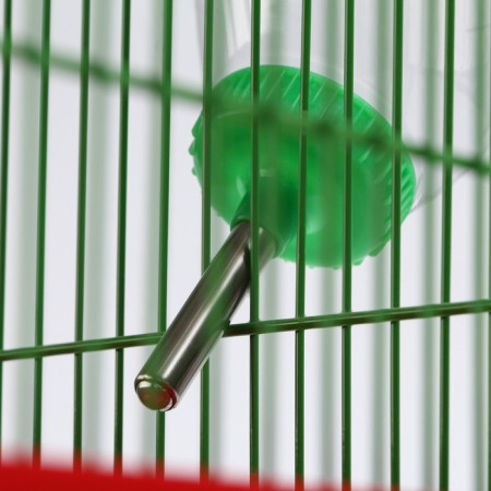 Drill for rodents, 500 ml, 20.5 x 5 cm, green-3