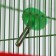 Drill for rodents, 500 ml, 20.5 x 5 cm, green