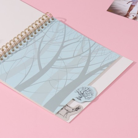 Photo album on spirals 20 sheets "Contour. Nature" volumetric element + 4 tabs 24x24 cm-5