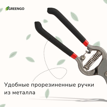 Planning coater, 10 "(25 cm), with metallic rubberized handles, Greengo-7