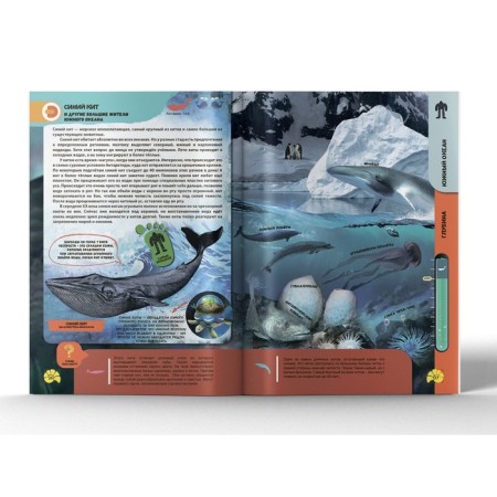 4D encyclopedia in augmented reality "Underwater residents"-2