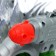 Dinosaur "Dino-Win", works from batteries, shoots with rockets, light and sound, color mix