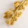 Set of dried flowers "licorice", ban 3 pcs, length 60 (+/- 6 cm), yellow