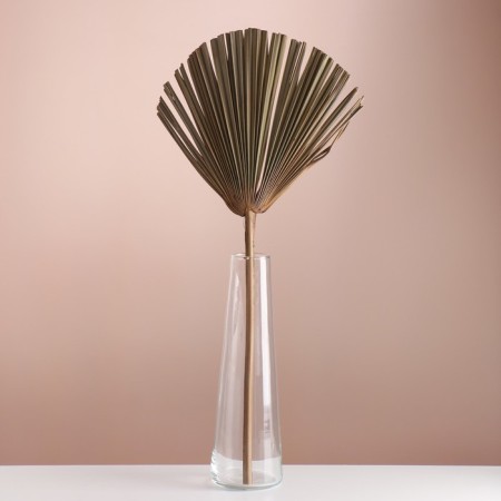 Washingtoni Palm sheet "Fan" 50-60 (+/- 6 cm), 1 pc, col. natural