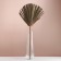 Washingtoni Palm sheet "Fan" 50-60 (+/- 6 cm), 1 pc, col. natural