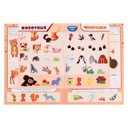 Developing album with stickers "Animals", 8 pages-4
