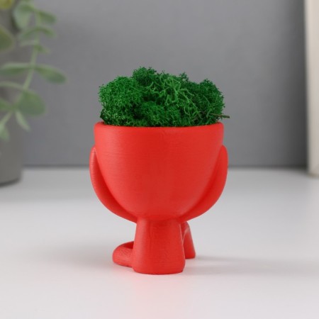 Kashpo concrete mini "Mr. Green" Ivazaru with Moss red 5.5x6.5x6.5 cm (moss green stabil)-2