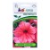 Flowers of Petunia Freight Erectal Coral "Candy Evelina F1", 5 pcs
