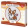 Set for creativity embroidery "Corgi", with hoop