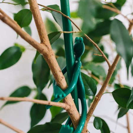 Garter for plants "Frog", set 2 pcs., Green, Greengo-2