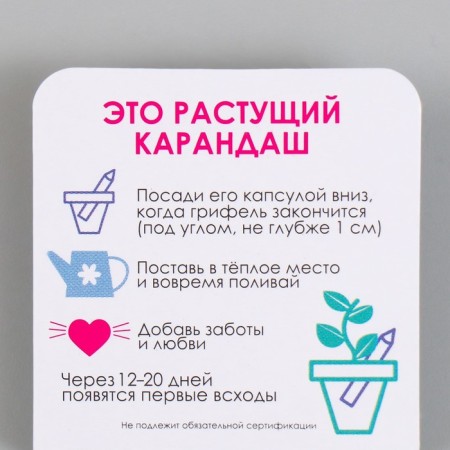Growing gift pencils Mini spruce - the key to health "Glubny spruce"-2