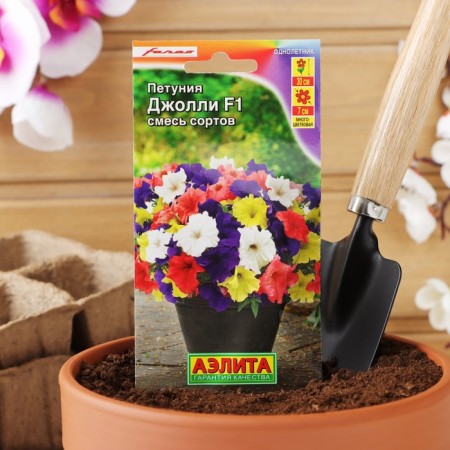 Jolly F1 petunia is multi -flowered, a mixture of colors, 7 pcs-2