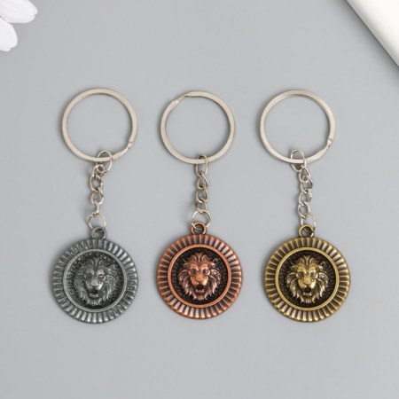 Metal keychain "Leo on the shield" MIX 3.6x3.2x0.3 cm