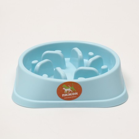 Limit feeding bowl, from overeating, 20 x 20 x 4.5 cm, blue