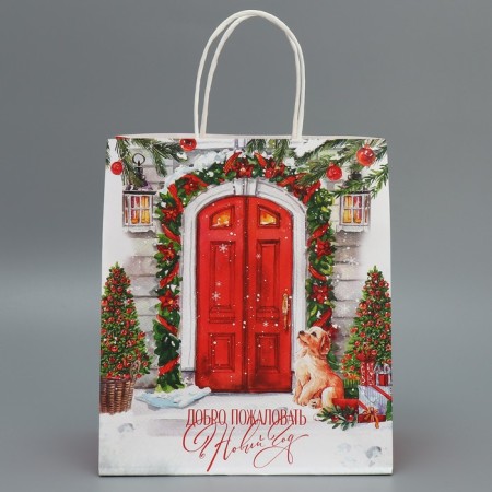 Package Gift Crafts "Welcome", 22 x 25 x 12 cm, New Year-4
