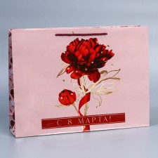 Package Gift Laminated Horizontal, packaging, 