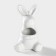 Tenthoper of the denture “Bunny”, 5.5 × 5 × 9 cm, white color