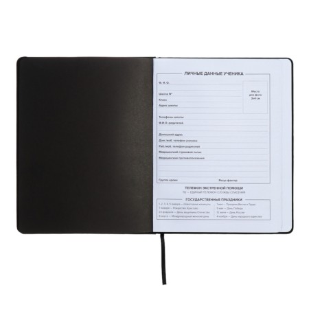 Universal Diary 1-11 grade, 48 sheets "Original", solid cover of artificial leather, embossing foil, liesse, universal cheat sheet, block 80 g/m2-4