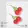 Earrings Plastic "Cherry" ripe, red-green color in gold