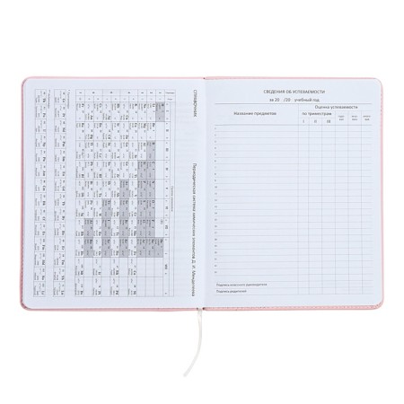 Universal diary for grade 1-11 Fashion Bear, solid cover, artificial leather, foam rubber, liesse, 80 g/m2-11