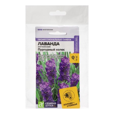 Lavender Flowers "Purple Coloss", set 5 pcs-2