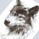 Tattoo on the body Black "Wolf" 21x15 cm